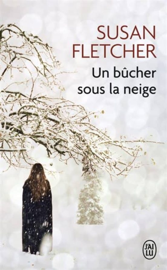 Un Bucher Sous La Neige