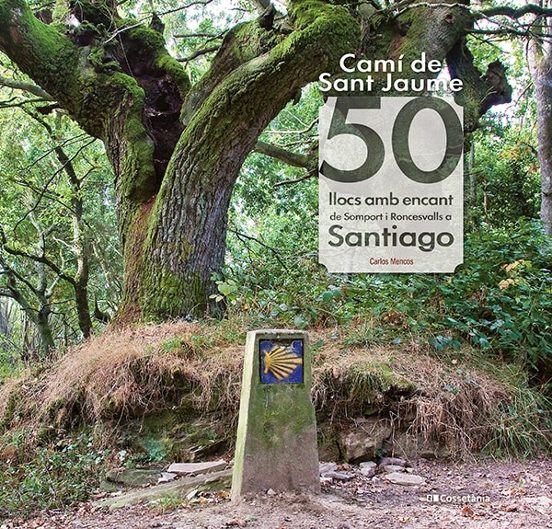 Camí De Sant Jaume: 50 Llocs Amb Encant De Somport I Roncesvalls A Santiago