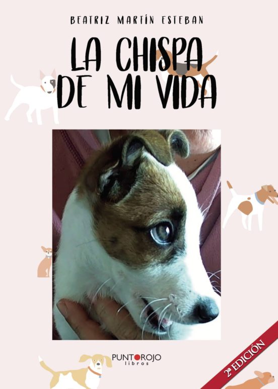 La Chispa De Mi Vida