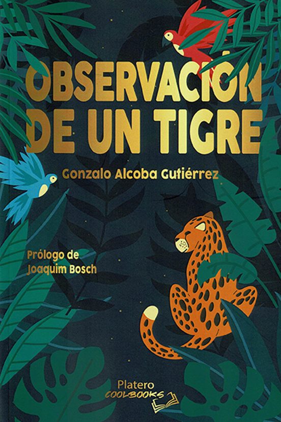 Observación De Un Tigre