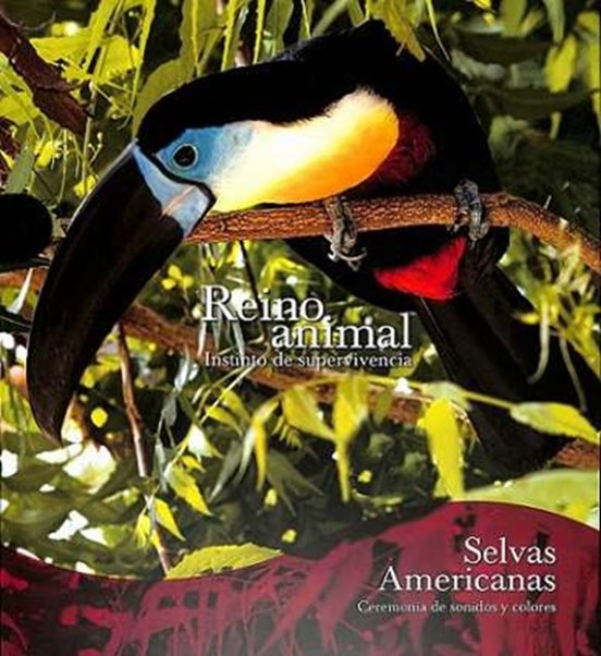 Selvas Americanas SE