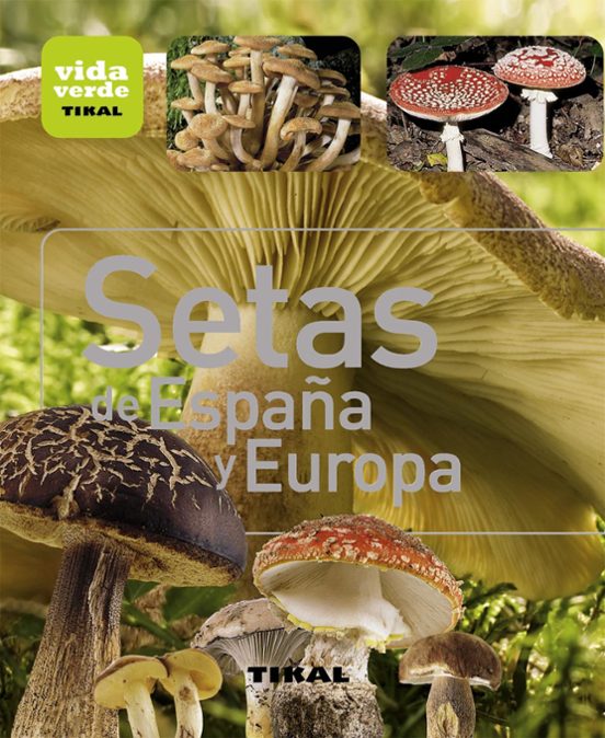 Setas De España Y Europa