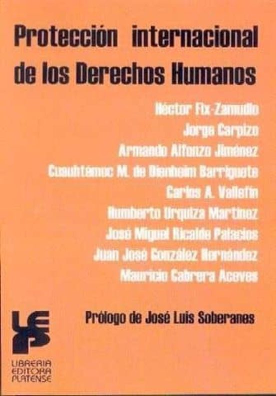 Proteccion Internacional De Los Derechos Humanos