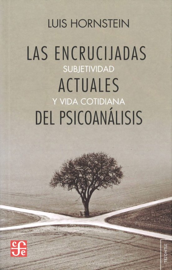 Las Encrucijadas Actuales Del Psicoanalisis: Subjetividad Y Vida Cotid