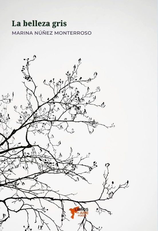 La belleza gris