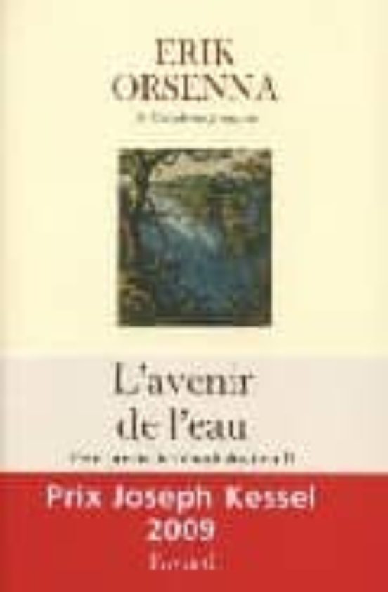 Petit Précis De Mondialisation : Lavenir De Leau