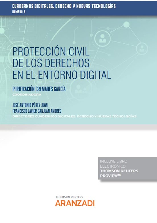 Proteccion Civil De Los Derechos En El Entorno Digital