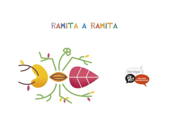 Hormigas 4 Años Alumnos Novedad 2018 Infantil por Proyectos ¿lo Ves? N