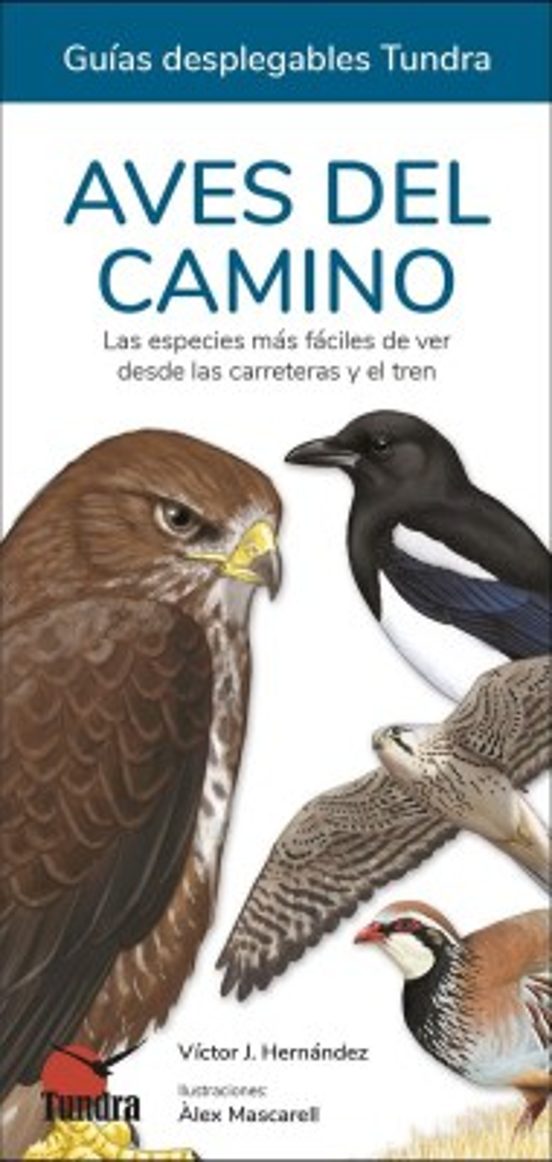 Aves Del Camino