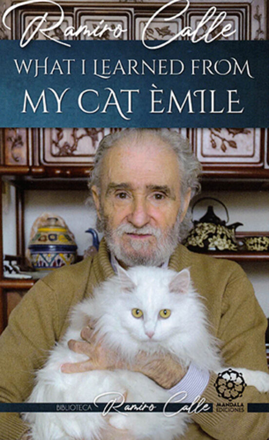 What I Learned From My Cat Émile
