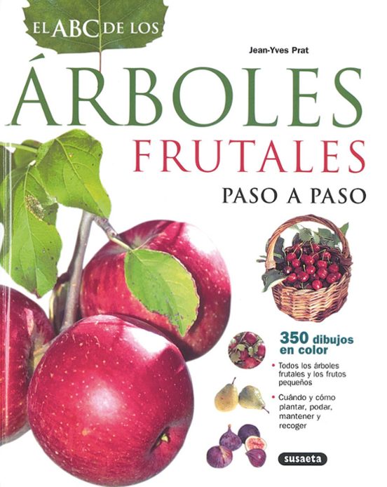 Arboles Frutales Paso A Paso