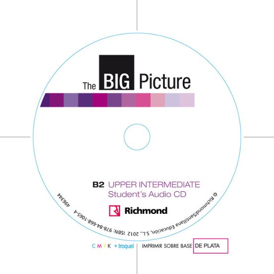 Big Picture 4 Workbook + Cd B2
