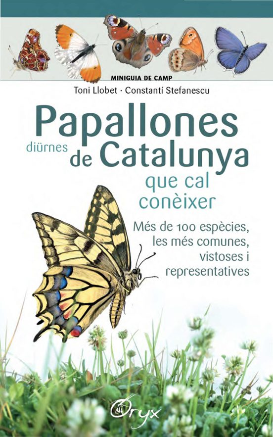 Papallones Diürnes De Catalunya