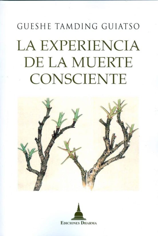 La Experiencia De La Muerte Consciente