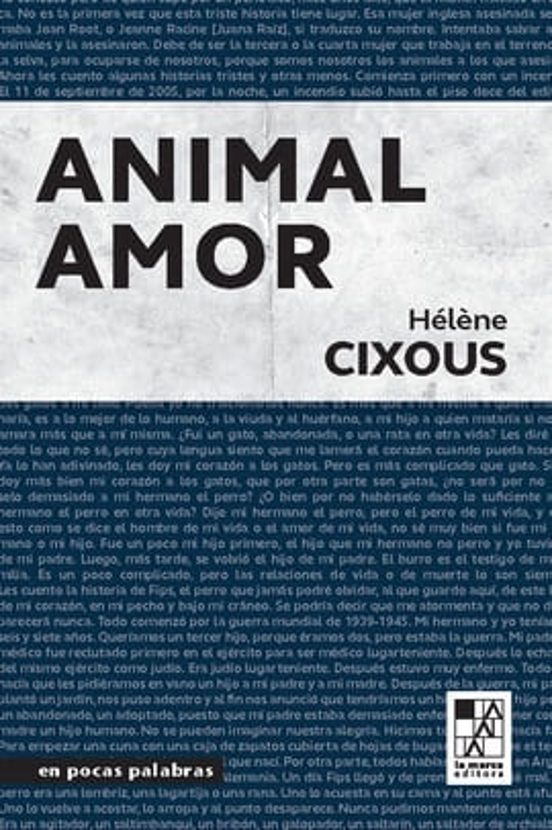 Animal Amor