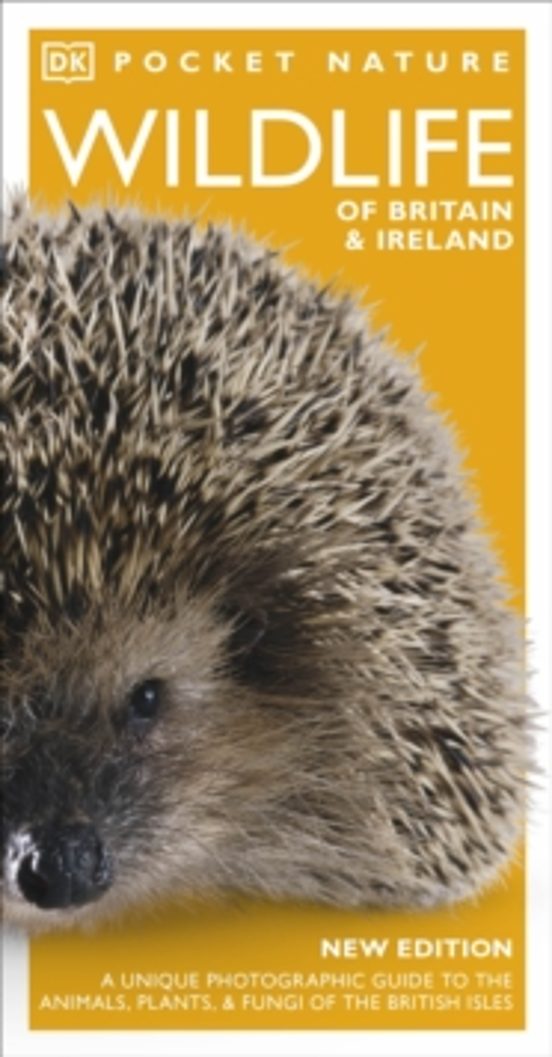 Pocket Nature Wildlife Of Britain And Ireland