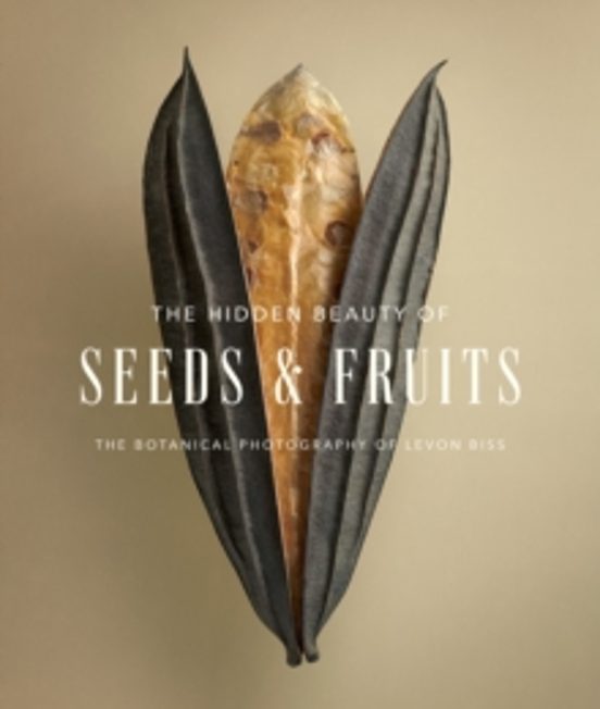 The Hidden Beauty Of Seeds & Fruits: The Botanical Photography Of Levo