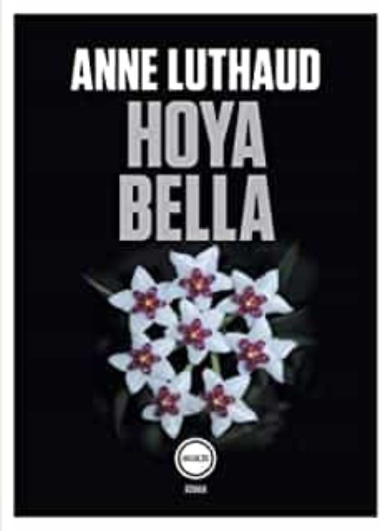 Hoya Bella