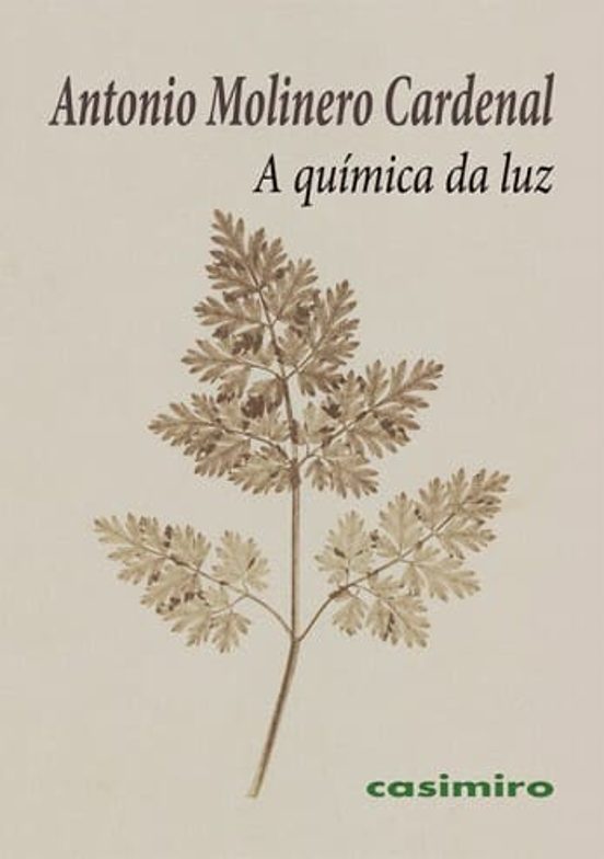 A Química Da Luz