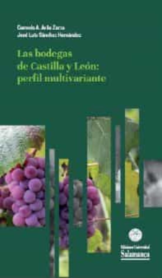 Las Bodegas De Castilla Y Leon: Perfil Multivariante