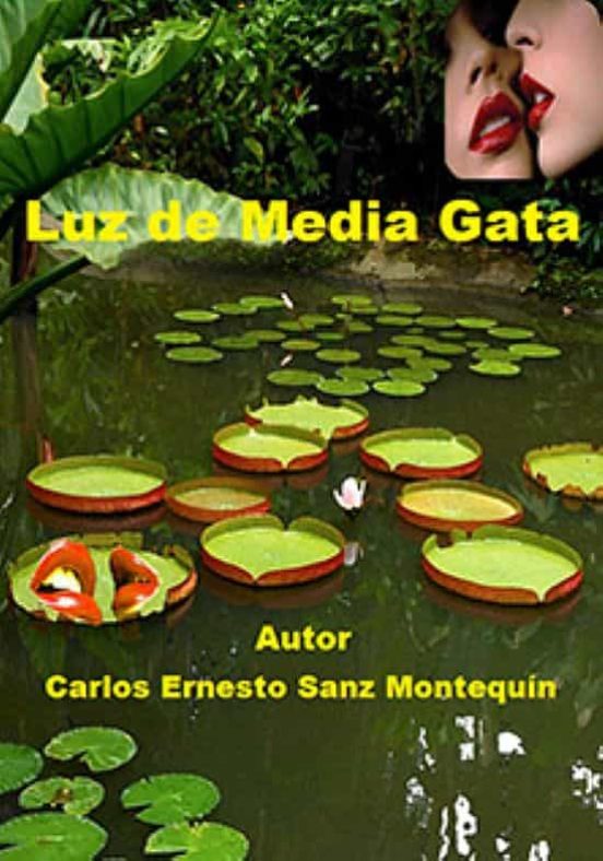 Luz De Media Gata