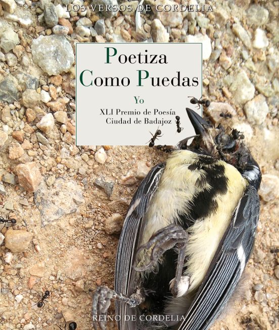 Poetiza Como Puedas