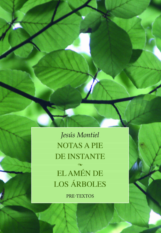 Notas A Pie De Instante / El Amén De Los Árboles