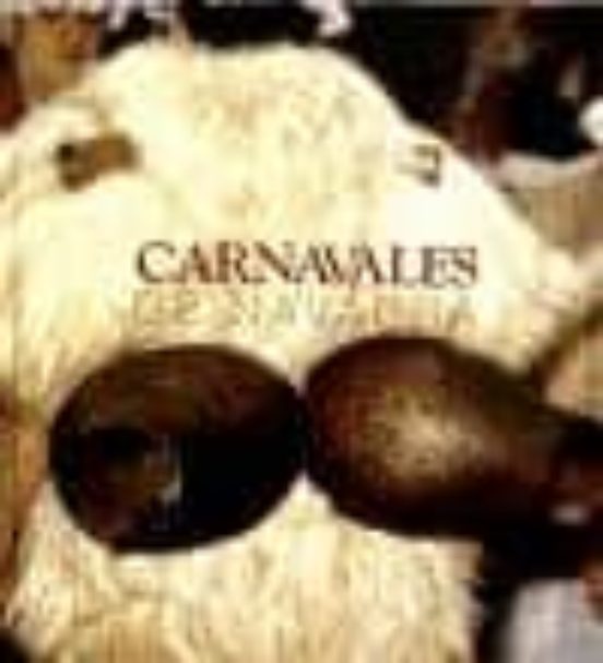Carnavales De Navarra
