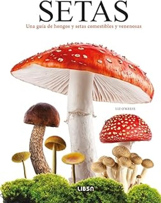 Setas