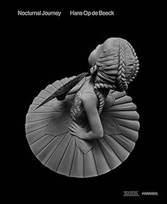 Hans Op de Beeck Nocturnal Journey