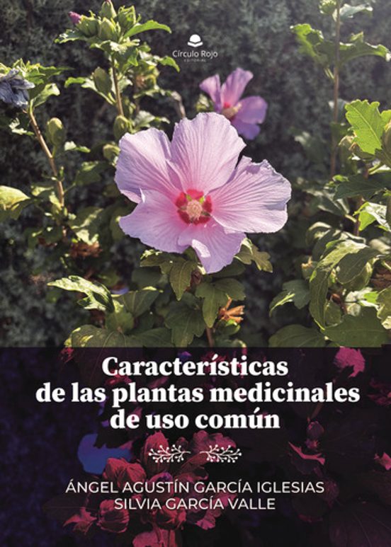Características de las Plantas Medicinales de Uso Común