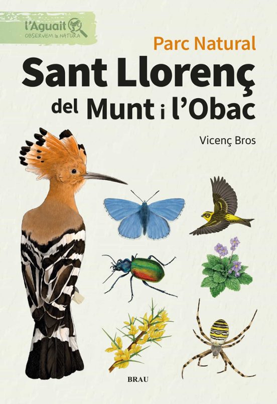 Parc Natural. Sant Llorenç De Munt I L Obac