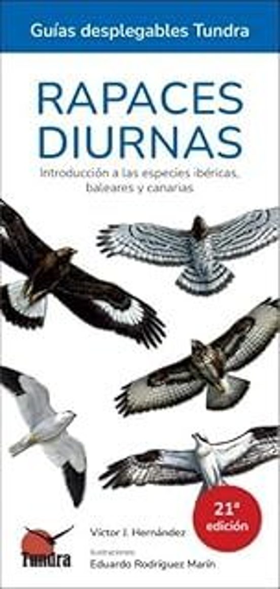 Rapaces Diurnas 21º Edición - Guías Desplegables Tundra