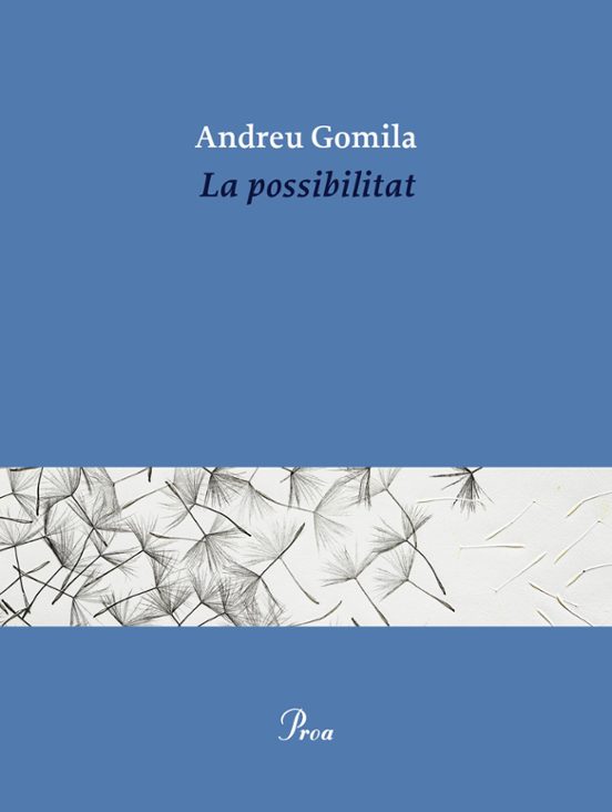 La possibilitat