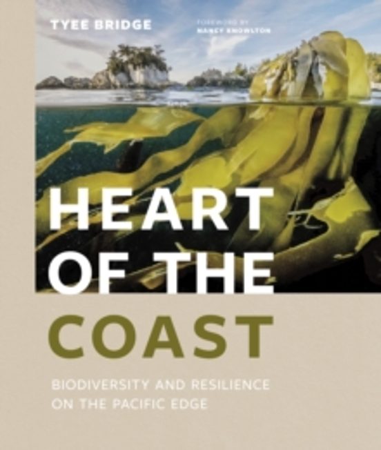 Heart Of The Coast