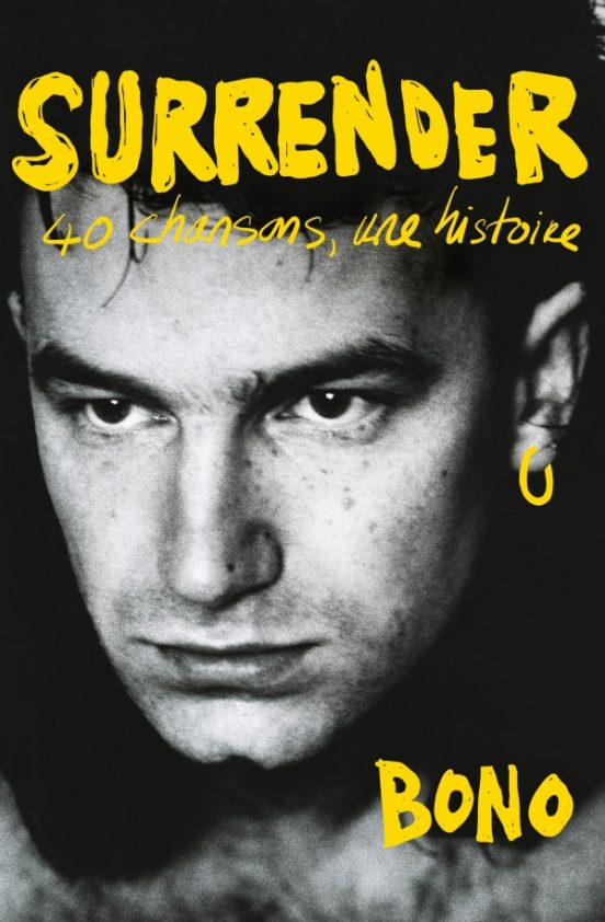 Surrender: 40 Chansons Une Histoire
