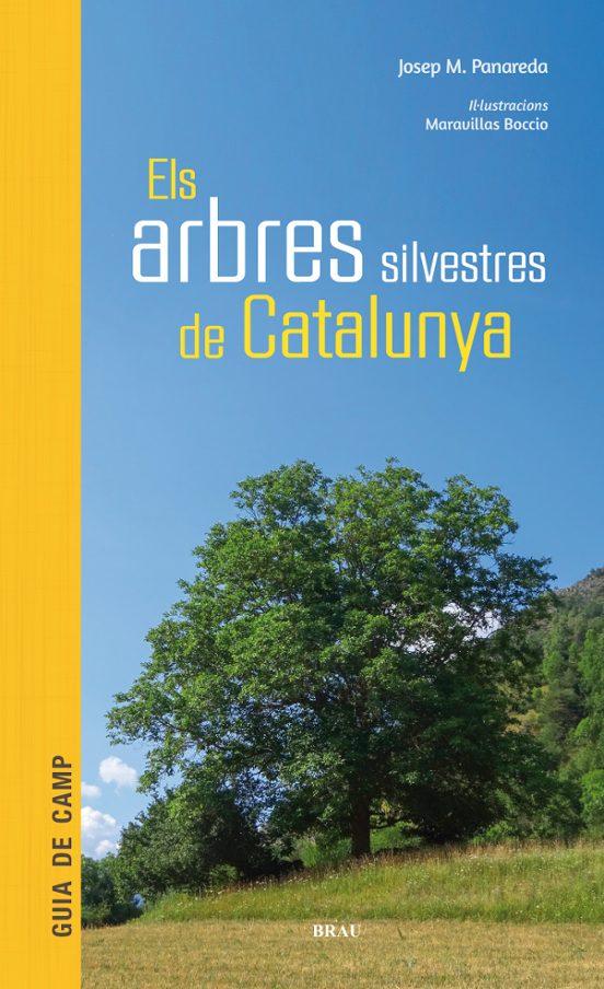 Arbres Silvestres De Catalunya