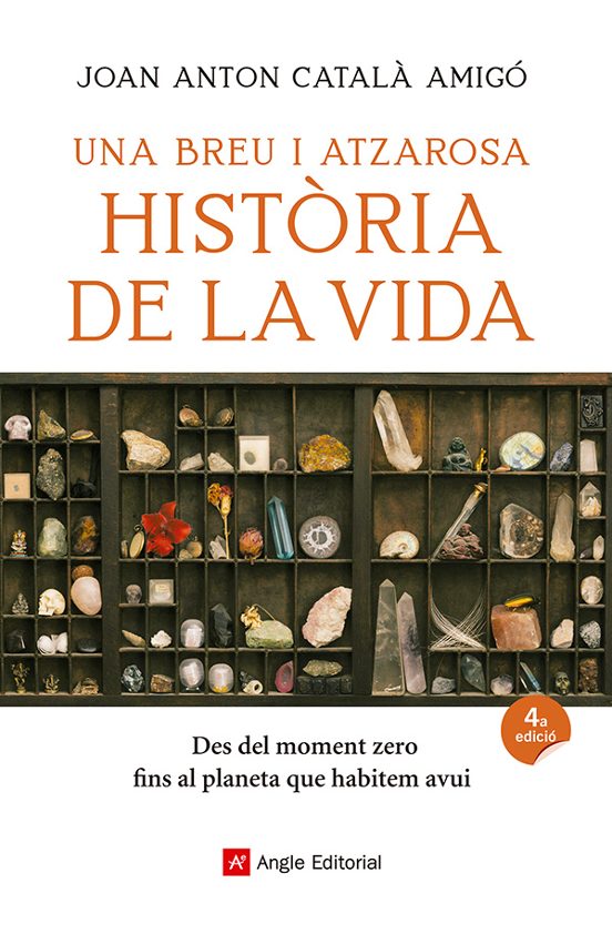 Una breu i atzarosa història de la vida