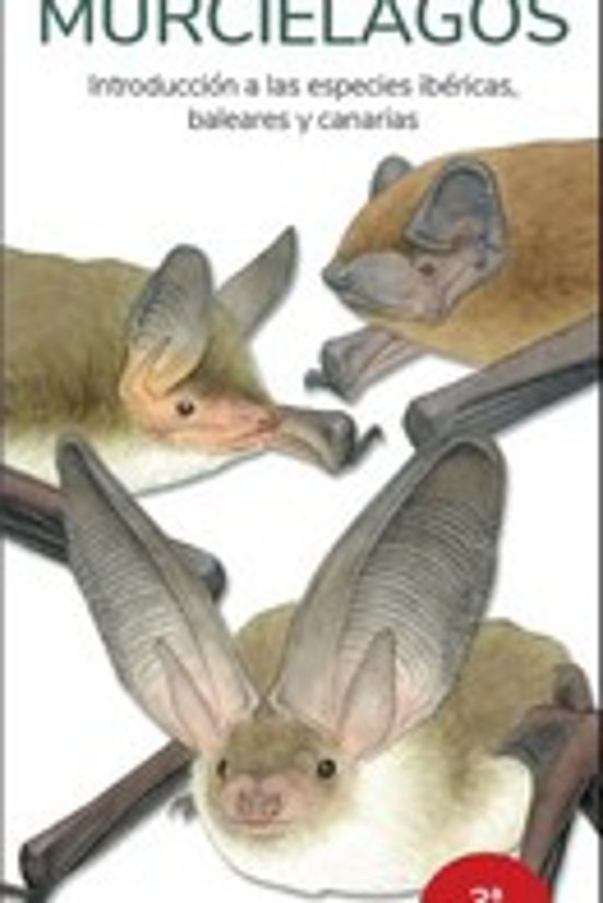 Murcielagos