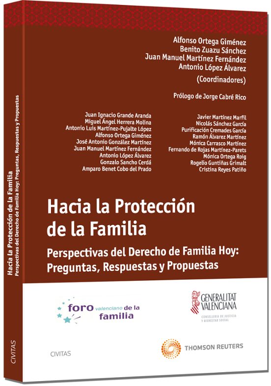 Hacia La Proteccion De La Familia Perspectivas Del Derecho De Hoy Preg