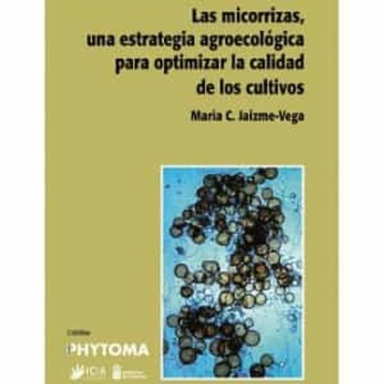 Las Micorrizas Una Estrategia Agroecologia Para Optimizar La Calidad D