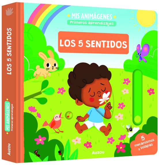 Mis Animágenes Los 5 Sentidos