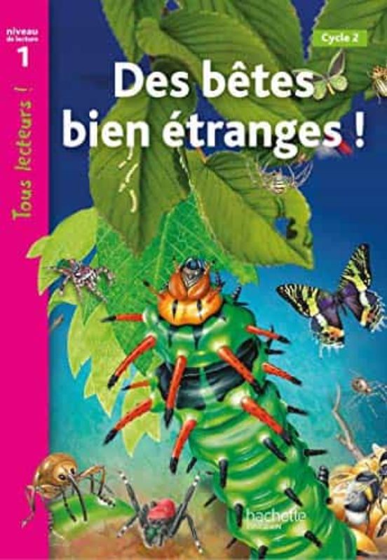 Droles De Petites Betes
