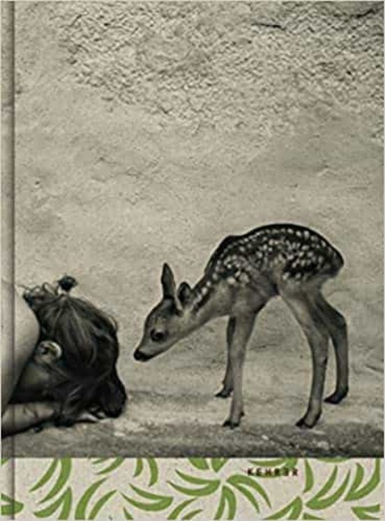 Summer Of The Fawn