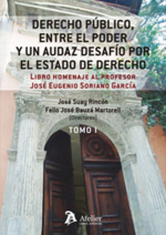Derecho Publico Entre El Poder Y Audaz Desafio Por El Estado De Derech