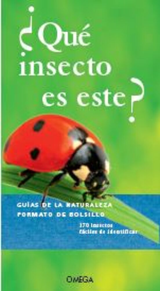 ¿que Insecto Es Este? - Guias De La Naturaleza