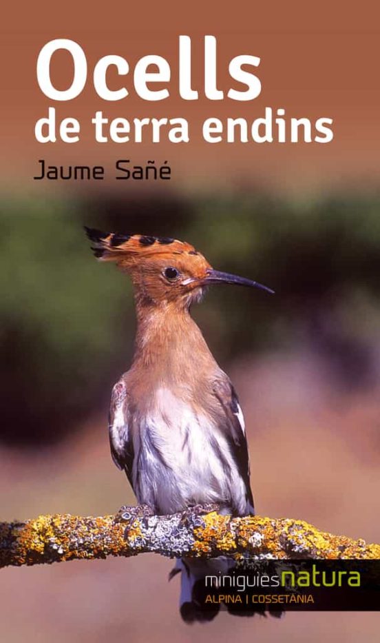 Ocells De Terra Endins