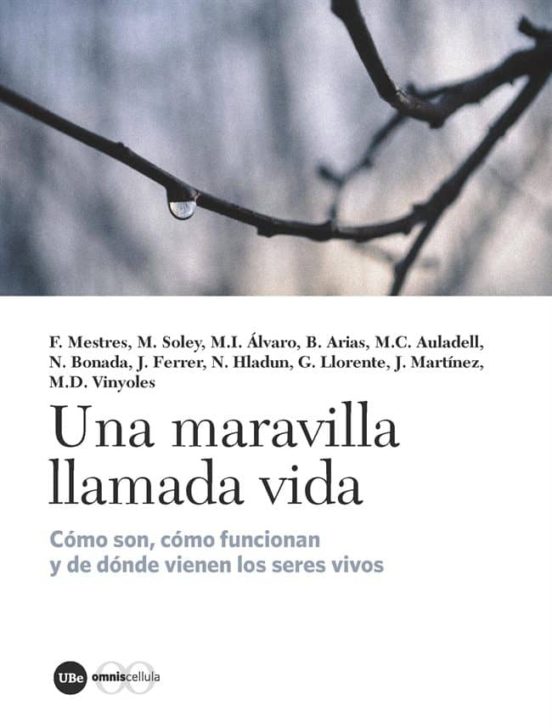 Una maravilla llamada vida