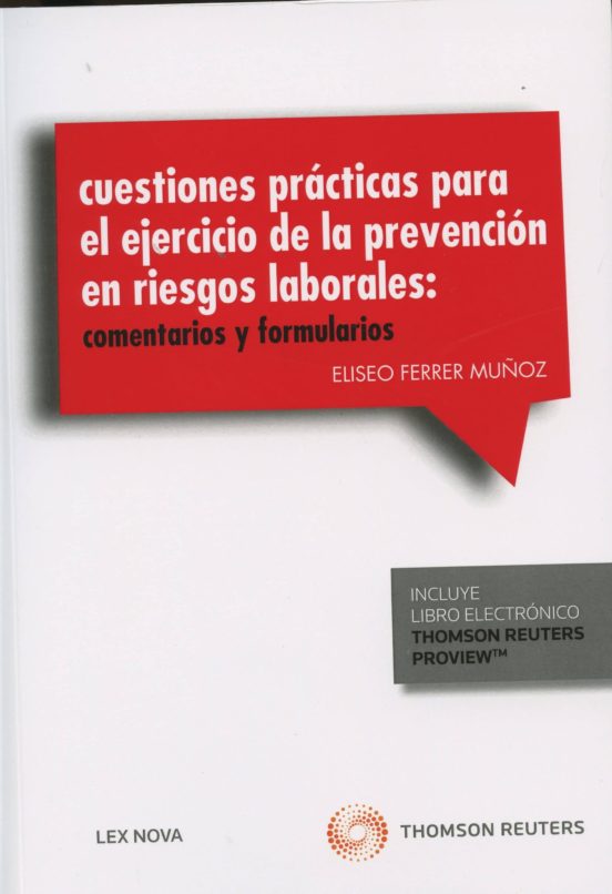 Cuestiones Prácticas Para El Ejercicio De La Prevención En Riesgo S La