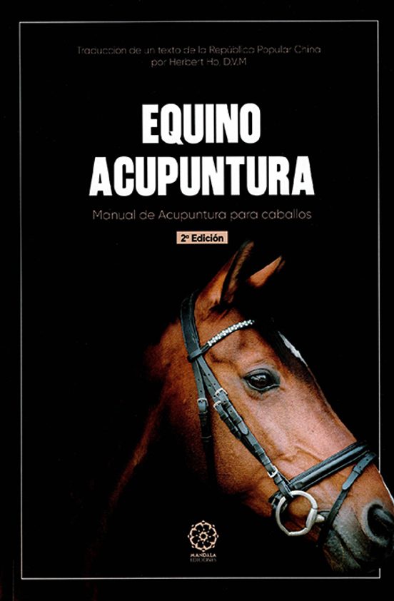 Equino Acupuntura